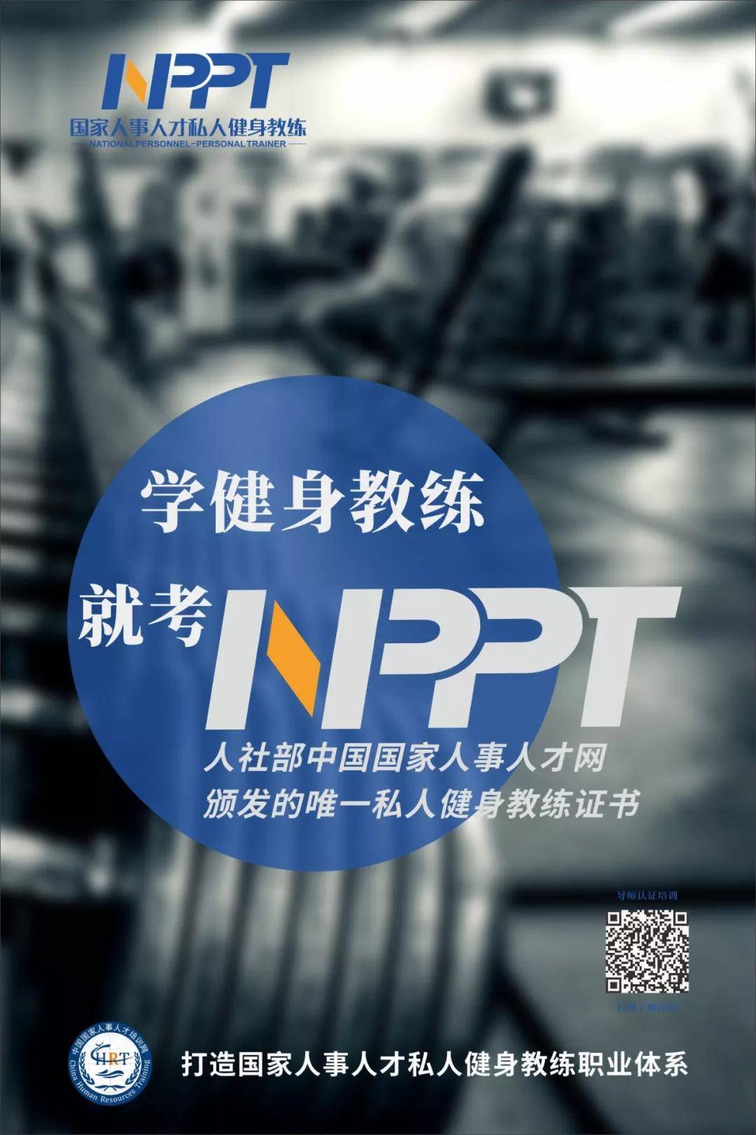 青少年裁判“实战+理论”双轨培训体系效果显著，行业标准不断提升的简单介绍