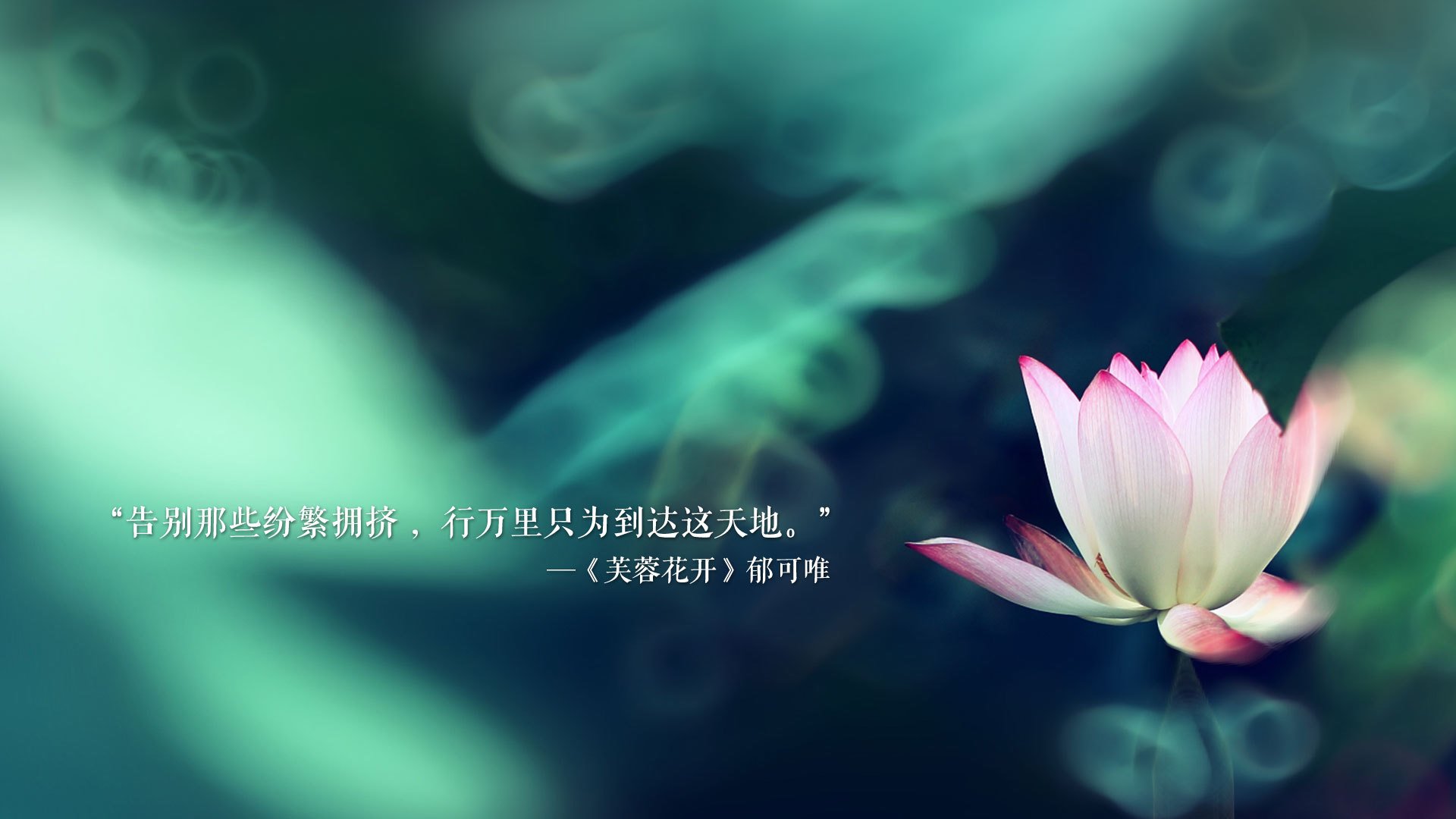 北京国安备战重要联赛比赛，北京国安在哪比赛
