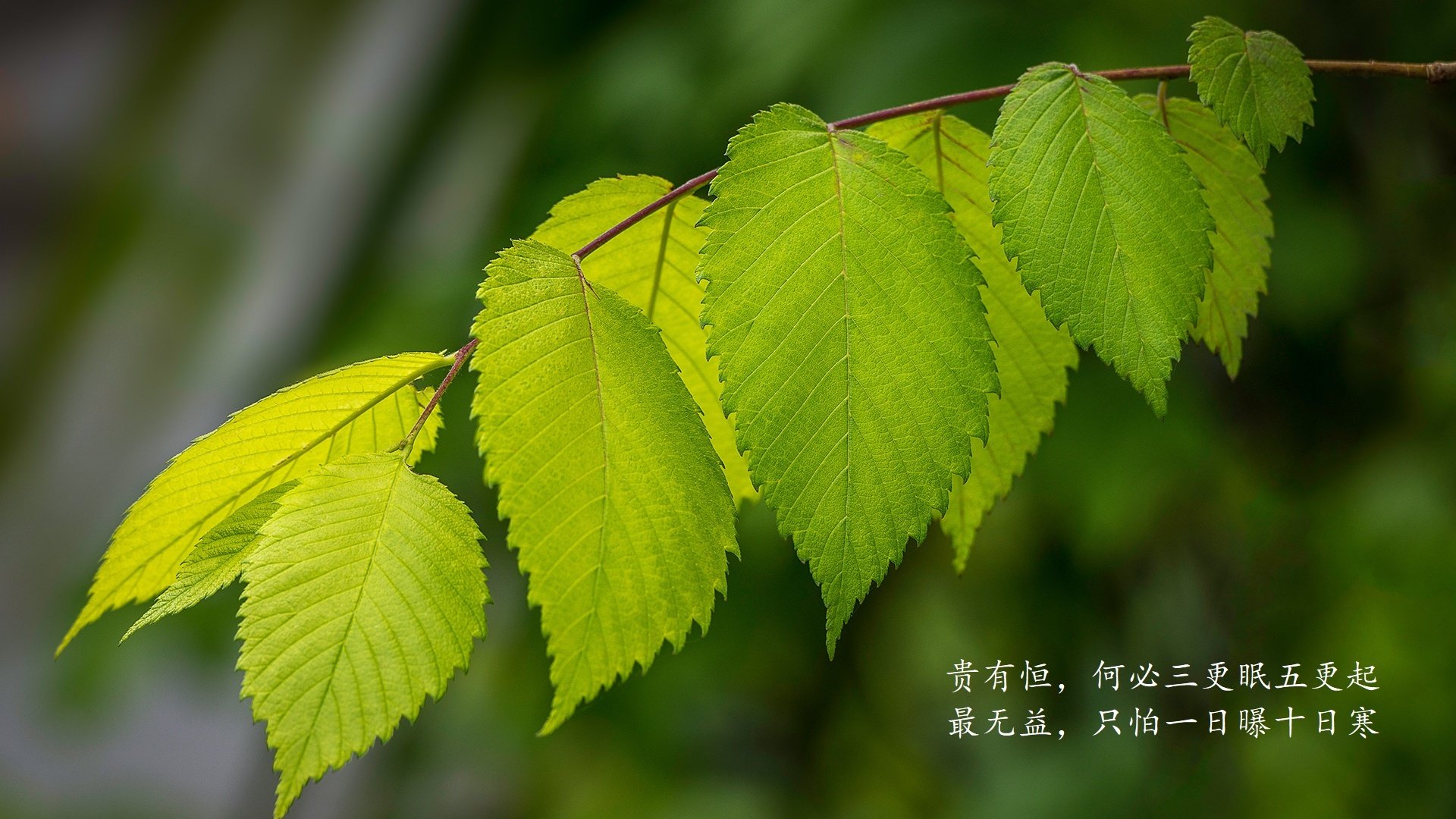 vwin.com-国足在国际友谊赛中的战术演练评估方案，国足比赛技术统计